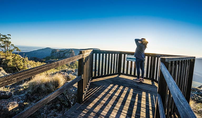Woman enjoying views from The Governor lookout boardwalk. Photo: Simone Cottrell &copy; OEH