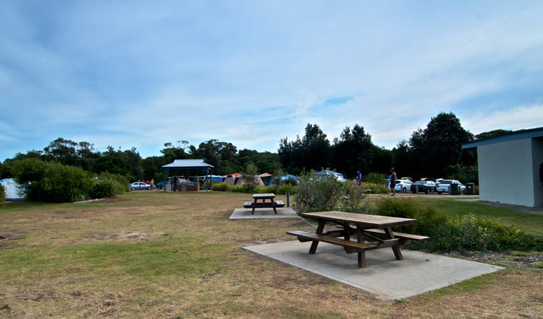 Picnic tables in Freemans campground, Munmorah State Conservation Area. Photo: John Spencer/DPIE