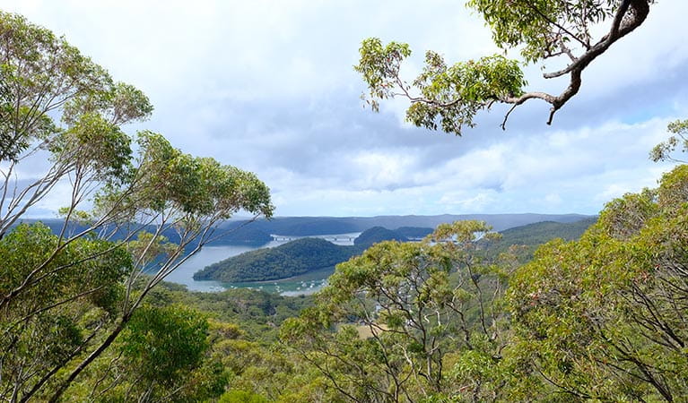 View of Brooklyn and the Hawkesbury River from JD Tipper lookout. Photo: Elinor Sheargold/OEH