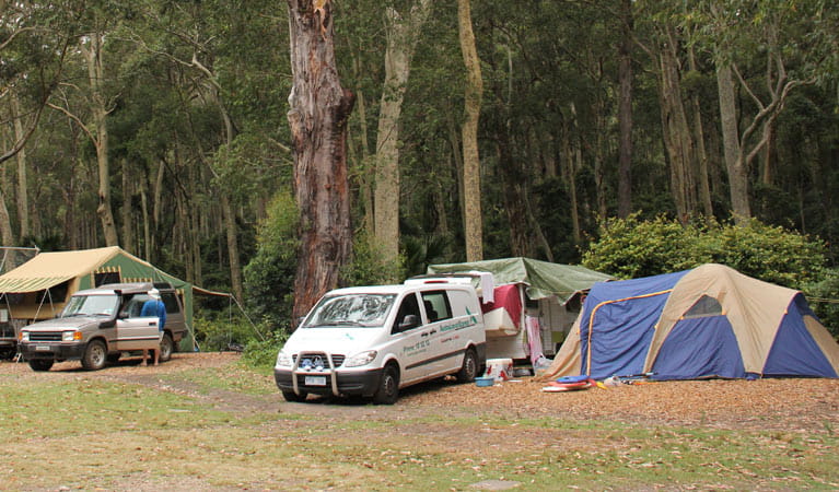 Tents and vehicles in Depot Beach campground. Photo: John Yurasek