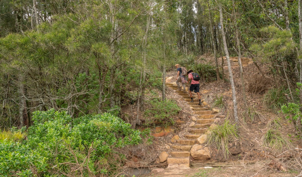 2 people walking up a set of stairs into the bush near Wasp Head. Credit: John Spencer &copy; DPE