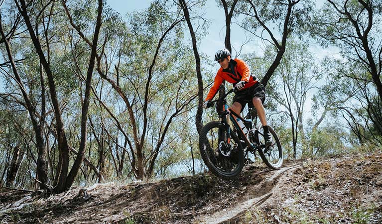 A bike rider descends steep dirt singletrack along Deniliquin mountain bike trails, Murray Valley Regional Park. Photo: Ain Raadik/Edward River Council.