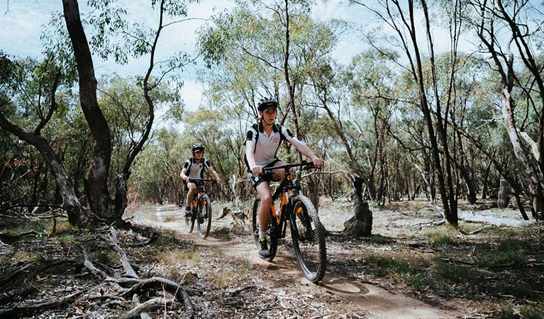 Two bike riders cycle along the dirt singletrack of Deniliquin mountain bike trails, Murray Valley Regional Park. Photo: Ain Raadik/Edward River Council