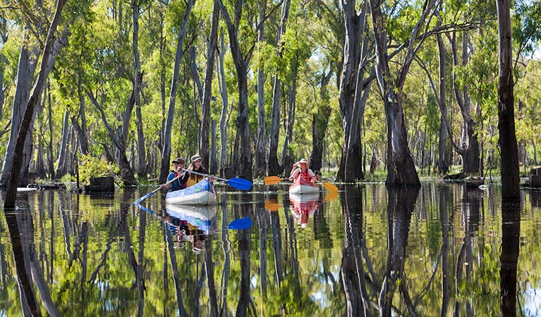 Edward River canoe and kayak trail, Murray Valley National Park. Photo: David Finnegan &copy; OEH