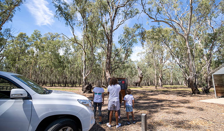 A family reads an information panel at Barmah Lakes day visitor area, Barmah National Park. Photo: B Ferguson/OEH