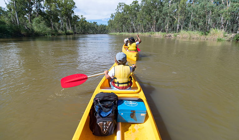 Family in canoes on the Murray River, Murray Valley National Park. Photo: B Ferguson/OEH 