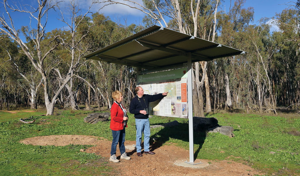 People looking at signage at Koala picnic area, Murrumbidgee Valley Nature Reserve. Photo: Gavin Hansford &copy; DCCEEW