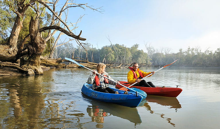 2 people in kayaks at Wooloondool campground, Murrumbidgee Valley Regional Park. Photo: Gavin Hansford/NSW Government