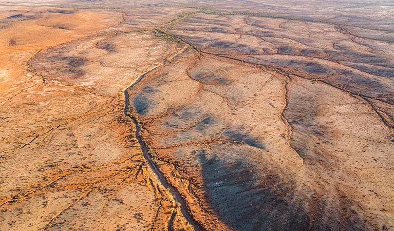 Aerial view of the arid landscape of Mutawintji National Park. John Spencer/DPIE