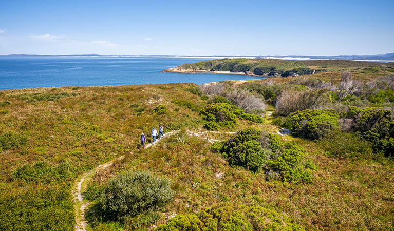 Bushwalkers on a track through heathland, with the ocean and NSW mainland in the background. Photo: John Spencer &copy; DPIE
