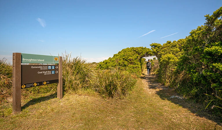 A bushwalker on a track through coastal heathland, with park signage for Broughton Island attractions in the foreground. Photo: John Spencer &copy; DPIE