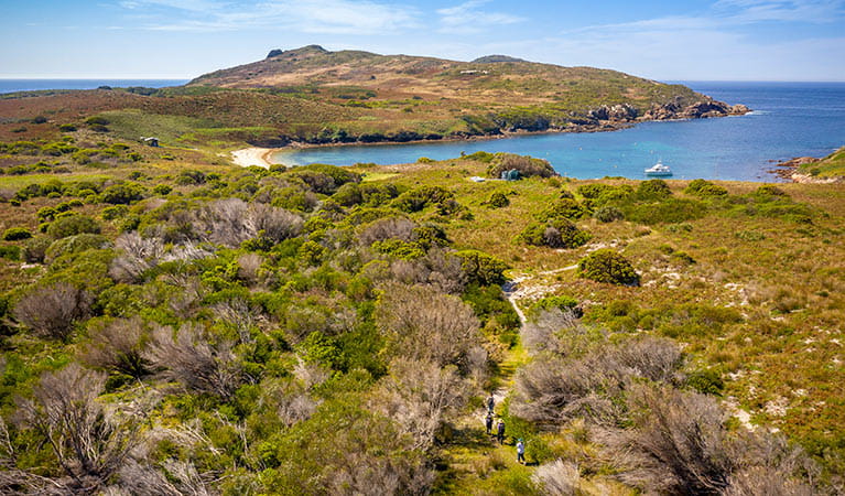 Aerial view of a group on the walking track on Broughton Island. Photo: John Spencer/DPIE