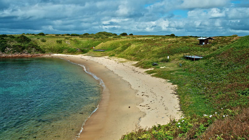 A beach with plant-covered sand dunes on Broughton Island, Myall Lakes National Park. Credit: John Spencer &copy; DPE