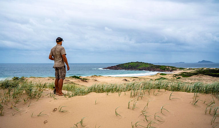 A man stands on the dunes looking out toward the headland on Dark Point walking track in Myall Lakes National Park. Photo: John Spencer &copy; DPIE