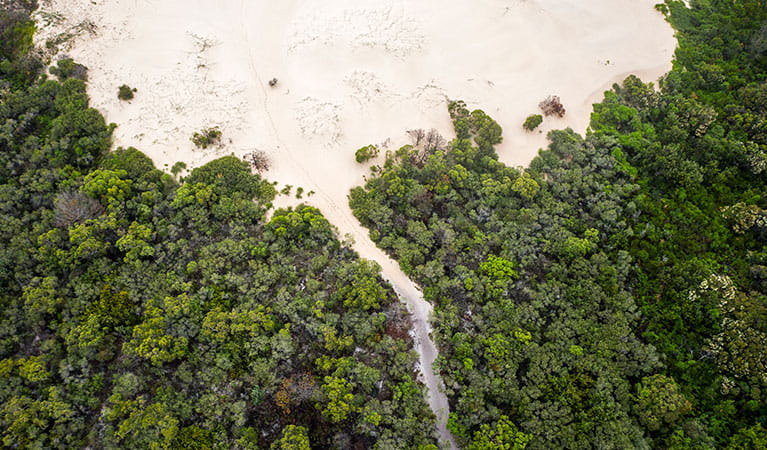 An aerial view of Dark Point walking track where it meets the beach in Myall Lakes National Park. Photo: John Spencer &copy; DPIE