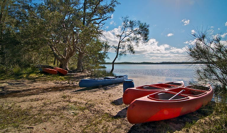 Johnsons Beach campground, Myall Lakes National Park. Photo: John Spencer/NSW Government
