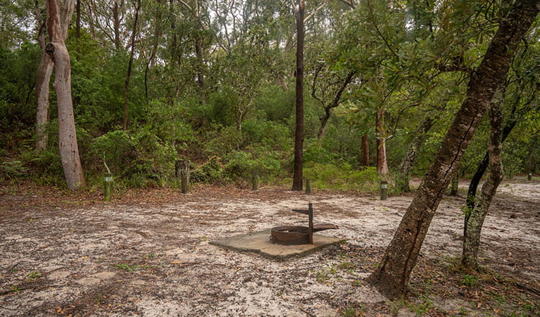 View of sandy camping area with wood barbecue set in bushland. Photo: John Spencer &copy; DPIE