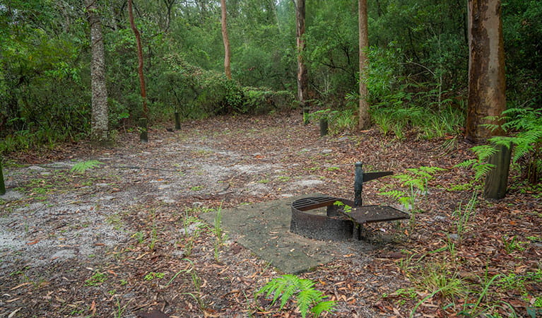 View of sandy camping area with wood barbecue, surrounded by trees and lush green undergrowth. Photo: John Spencer &copy; DPIE