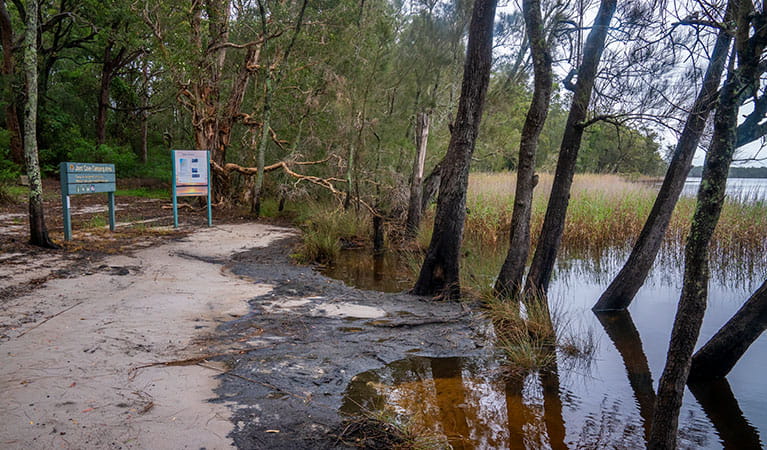 Lakeside signage at Joes Cove campground set amongst trees in Myall Lakes National Park. Photo: John Spencer &copy; DPIE