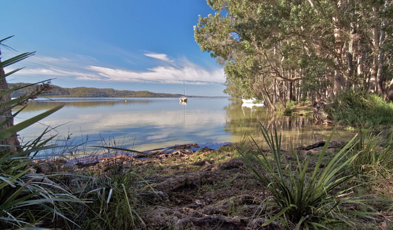 Neranie campground waters, Myall Lakes National Park. Photo: John Spencer/DPIE