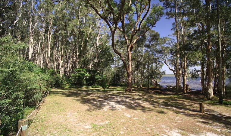 Shelly Beach campground, Myall Lakes National Park. Photo: Shane Chalker