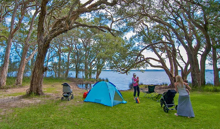 White Tree Bay campground, Myall Lakes National Park. Photo: John Spencer/DPIE