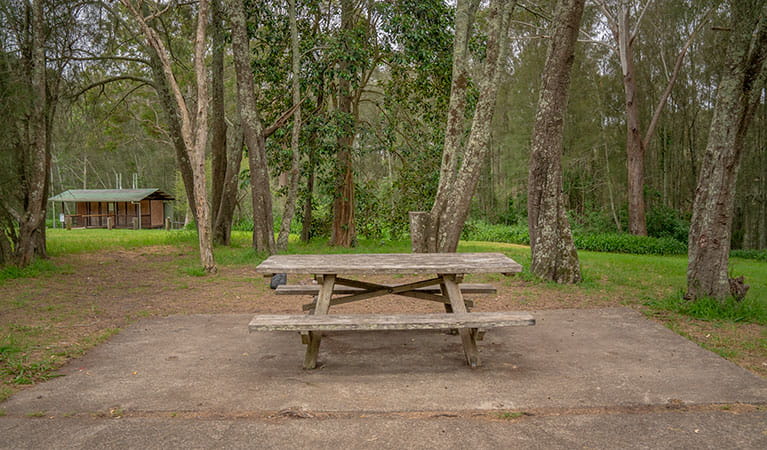 A picnic table with amenities block in the background at Violet Hill campground in Myall Lakes National Park. Photo: John Spencer &copy; DPIE