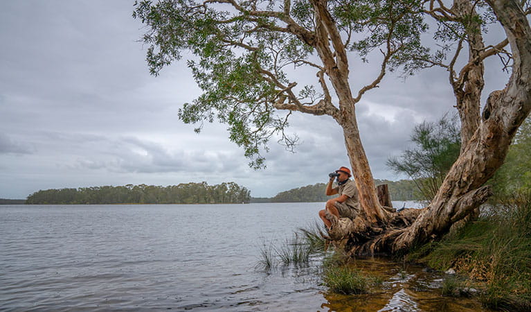 A man beside the lake looking through a pair of binoculars at Violet Hill campground in Myall Lakes National Park. Photo: John Spencer &copy; DPIE