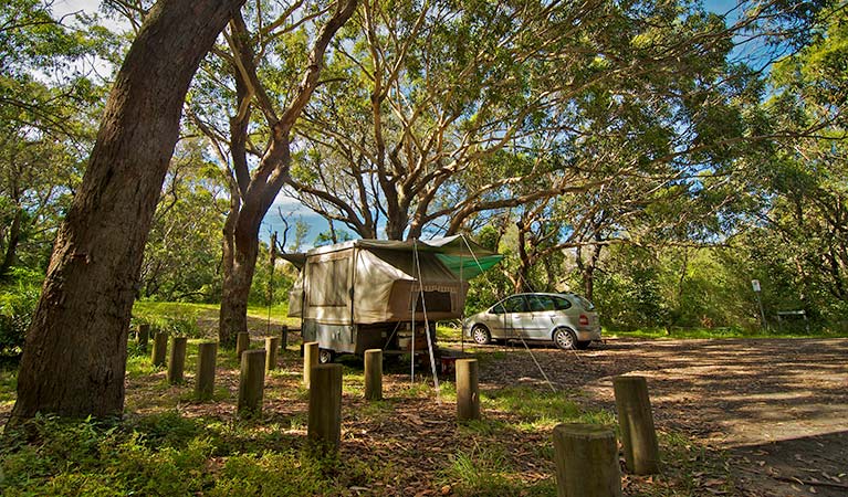 Featured image of post Seal Rock Campground They are located just offshore in the pacific ocean at the north end of the ocean beach near the cliff house and sutro baths ruins