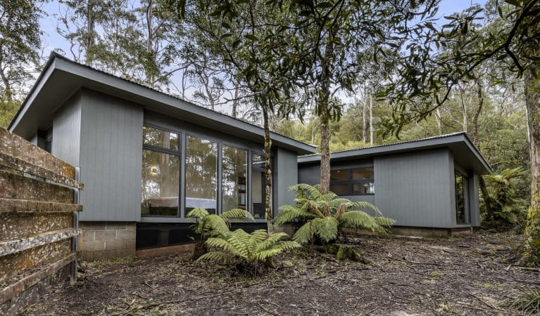 The exterior of The Residence surrounded by trees in New England National Park. Photo: Mitchell Franzi &copy; DPIE