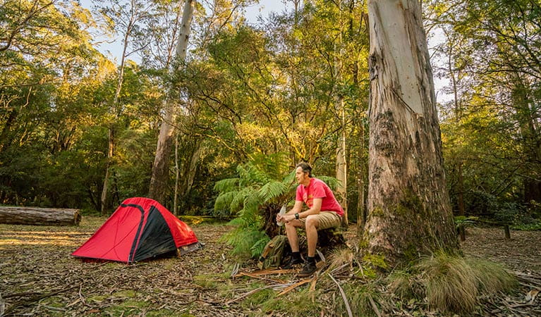 Man sitting next to his tent at Thungutti campground in New England National Park. Photo: John Spencer/OEH