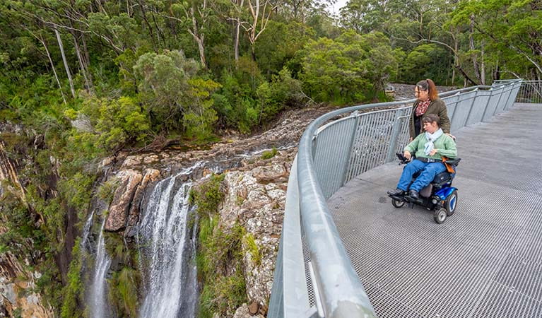 2 visitors to Minyon Falls, one in a wheelchair, look out over the falls from the accessible lookout. Photo: John Spencer &copy; DPE