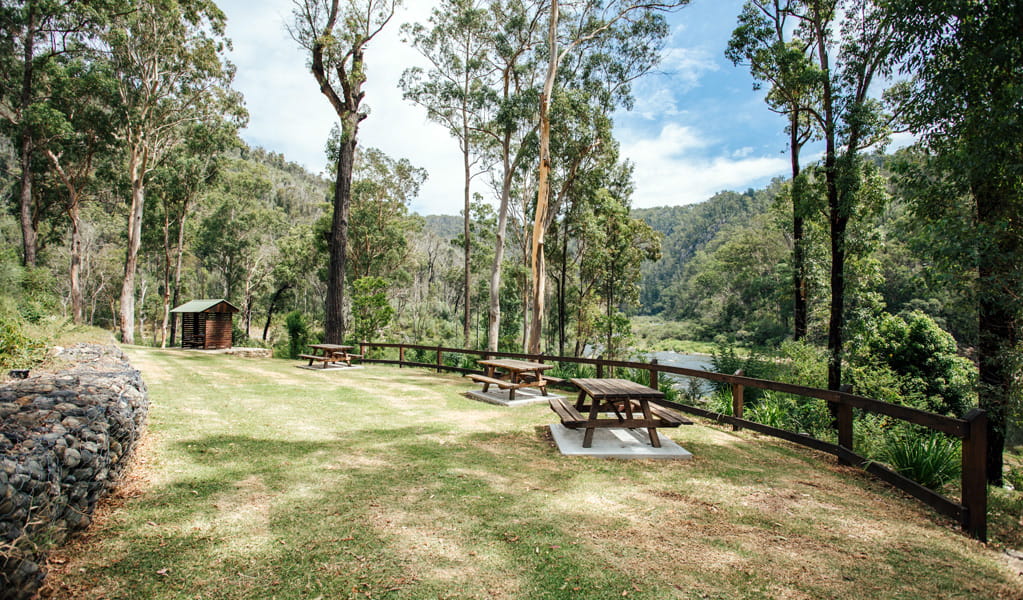 Picnic tables by Nymboida River at The Junction campground, Nymboi-Binderay National Park. Photo: Jay Clark, &copy; DCCEEW