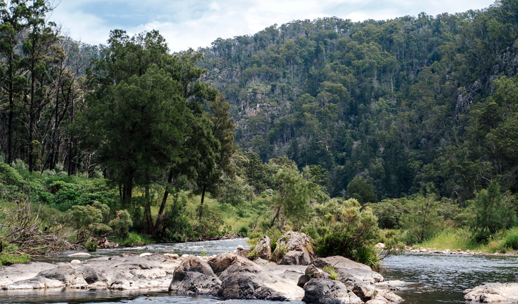 The Junction campground by Nymboida River in Nymboi-Binderay National park. Photo: Jay Clark, &copy; DCCEEW