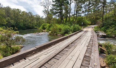 A timber single-lane bridge across a river in Nymboi-Binderay National Park. Photo: Robert Cleary & copy; Robert Clearly