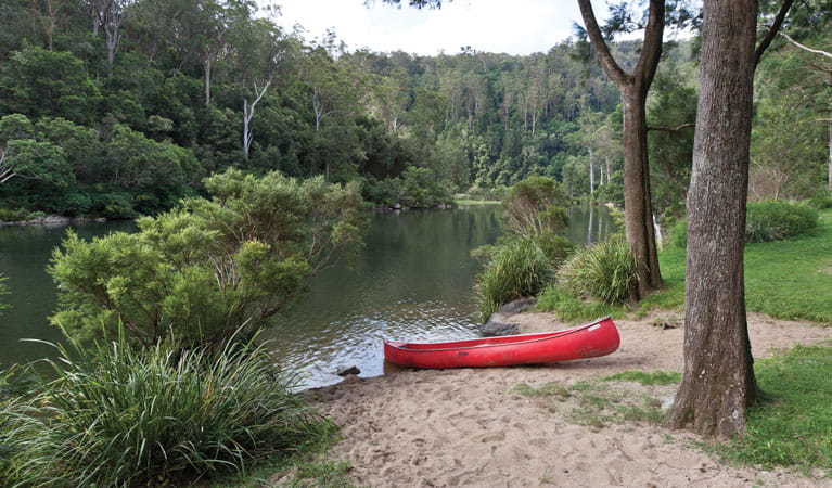 Platypus Flat campground, Nymboi-Binderay National Park. Photo: Rob Cleary/NSW Government