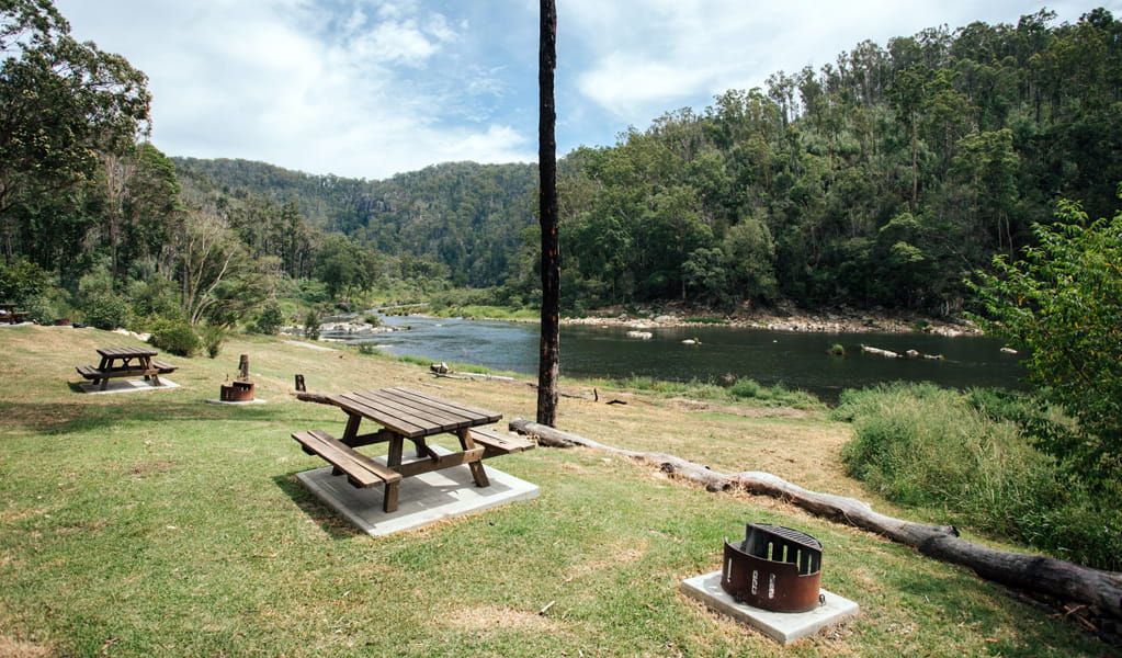 Picnic tables and fire pit by Nymboida River at The Junction campground, Nymboi-Banderay National Park. Photo: Jay Black, &copy; DCCEEW.
