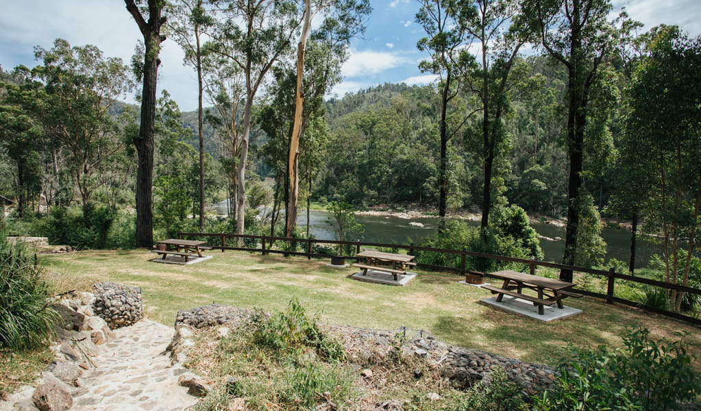 Camping area with picnic tables by Nymboida River at The Junction campground at Nymboi-Binderay National Park. Photo: Jay Black, &copy; DCCEEW