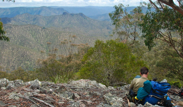 Green Gully track, Oxley Wild Rivers National Park. Photo: Shane Ruming