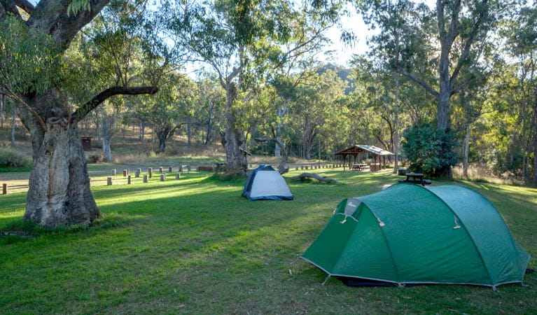 Tents at Riverside campground, Oxley Wild Rivers National Park. Photo: Gerhard Koertner/DPIE