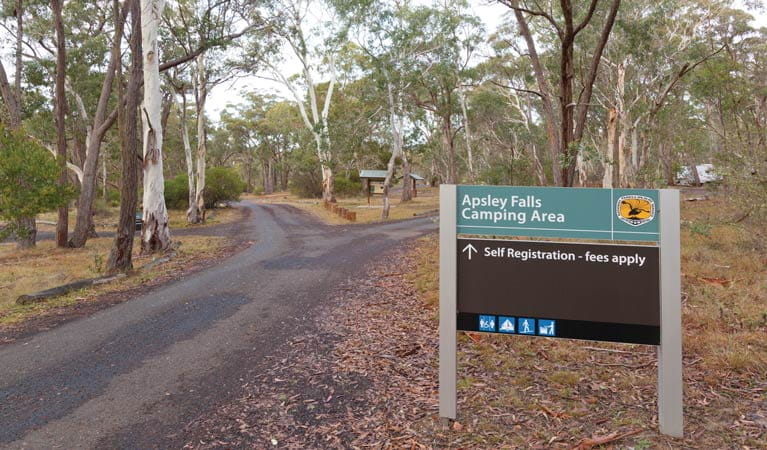 Apsley Falls Campground, Oxley Wild Rivers National Park. Photo: Rob Cleary/DPIE