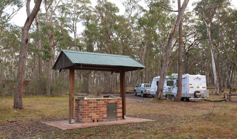 Barbecue and camping area in Apsley Falls campground, Oxley Wild Rivers National Park. Photo: Rob Cleary/DPIE
