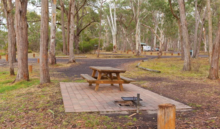 Picnic table at Apsley Falls campground, Oxley Wild Rivers National Park. Photo: Rob Cleary/DPIE