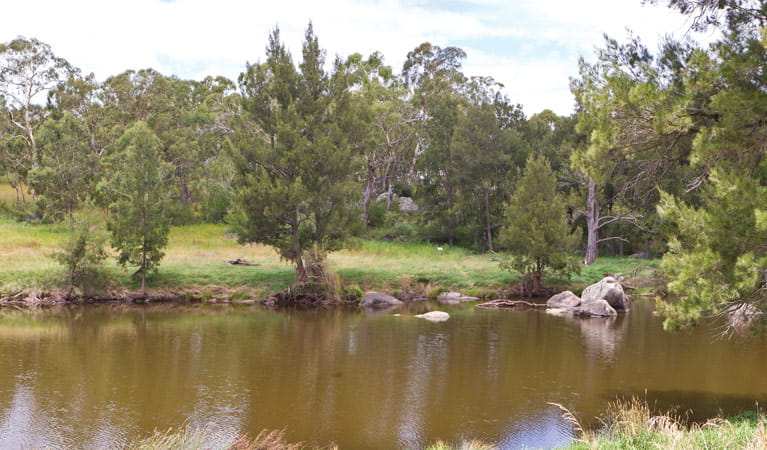 Blue Hole picnic area river, Oxley Wild Rivers National Park. Photo: Rob Cleary