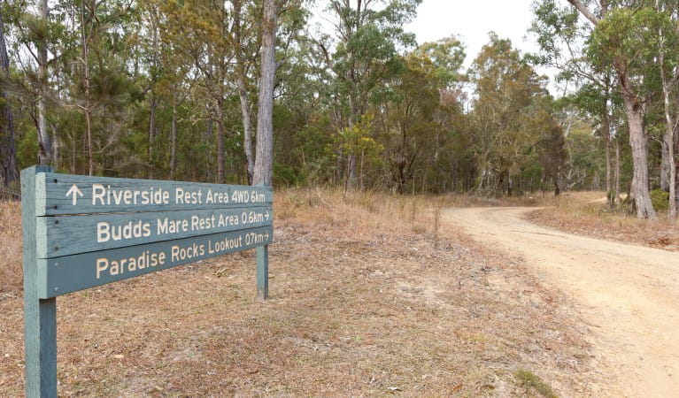 Directional signage along Budds Mare to Riverside walking track in Oxley Wild Rivers National Park. Photo: Rob Cleary &copy; OEH