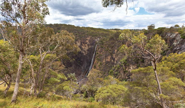 Dangars Gorge and Falls. Photo: Rob Cleary