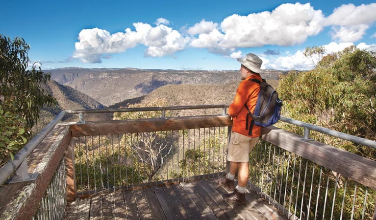 A person enjoying the view of the gorge at McDirtys lookout, Oxley Wild Rivers National Park. Photo: Rob Cleary &copy; OEH