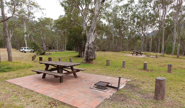 Riverside campground and picnic area, Oxley Wild Rivers National Park. Photo: Rob Cleary/DPIE