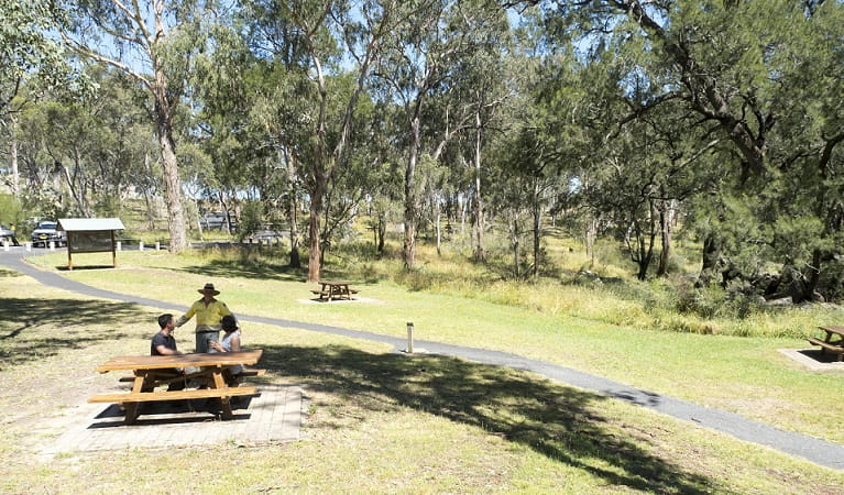 Picnickers chat with an NPWS staff member at Threlfall picnic area. Photo: Leah Pippos &copy;DPIE