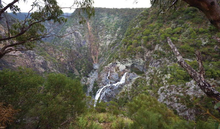 Wollomombi Gorge and waterfall in Oxley Wild Rivers National Park. Photo: Rob Cleary